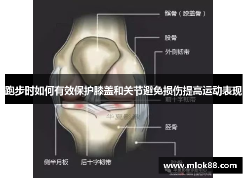 跑步时如何有效保护膝盖和关节避免损伤提高运动表现